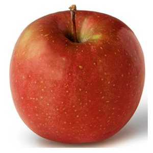 نهال سیب